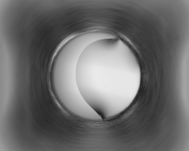 X0000083591418200703091710