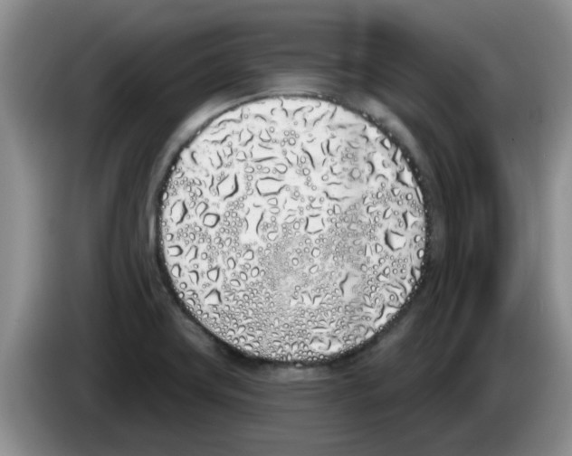 X0000083591419200703091710