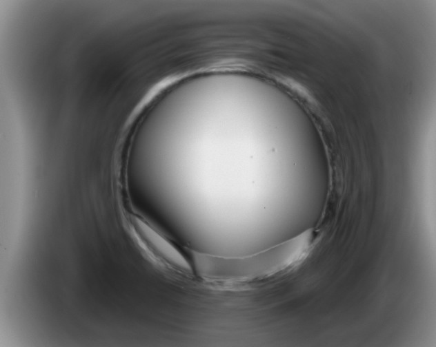 X0000083591422200703091710