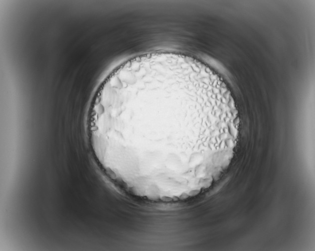 X0000083591423200703091710