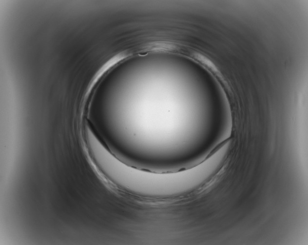 X0000083591426200703091710