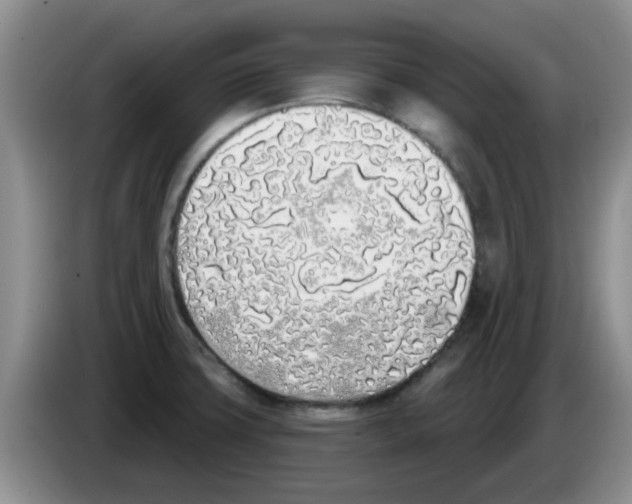 X0000083591427200703091710
