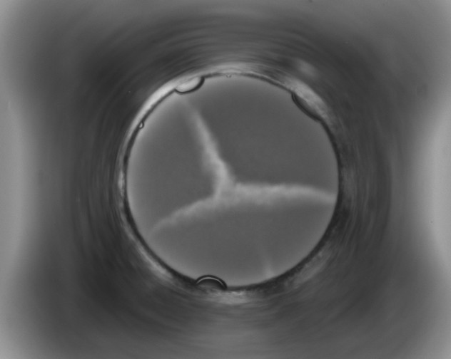X0000083591428200703091710