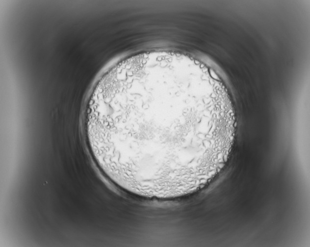 X0000083591429200703091710