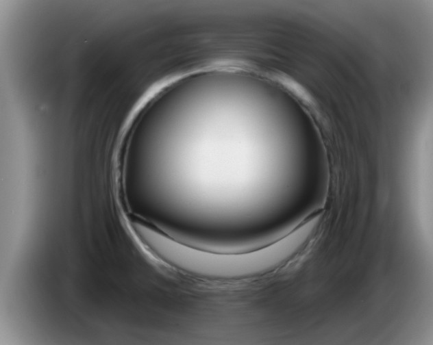 X0000083591430200703091710