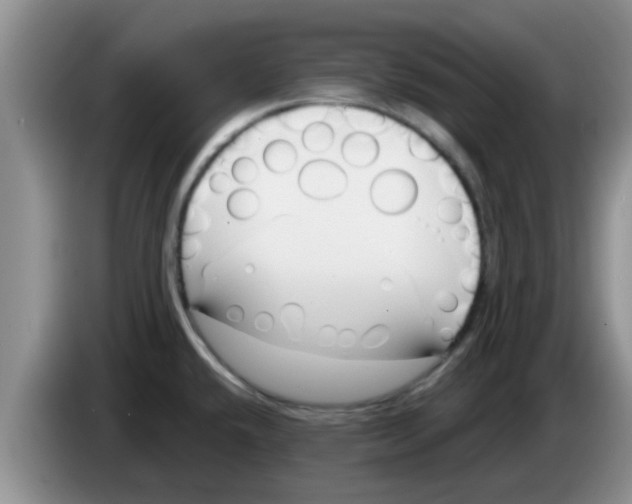 X0000083591432200703091710