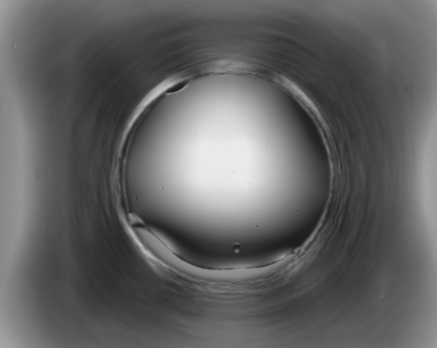 X0000083591434200703091710