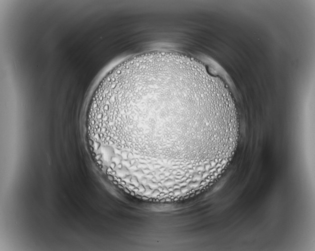 X0000083591435200703091710