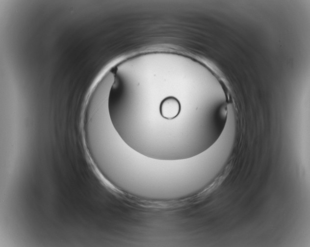 X0000083591438200703091710