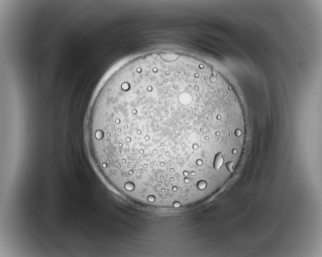 X0000083591440200703091710