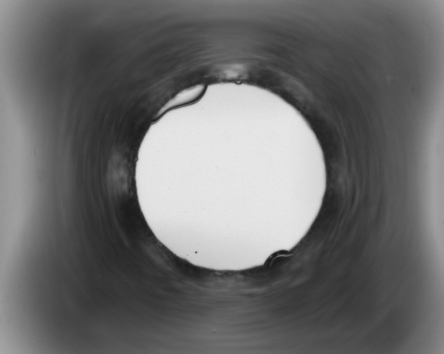 X0000083591442200703091709