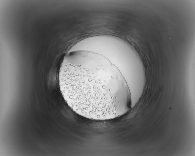 X0000083591444200703091709