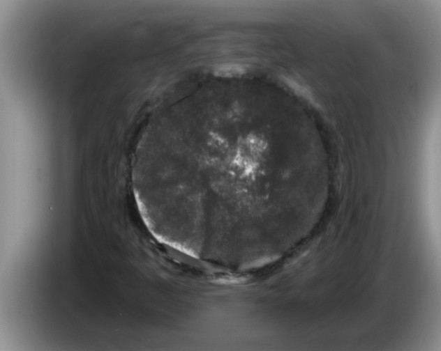 X0000083591445200703091709