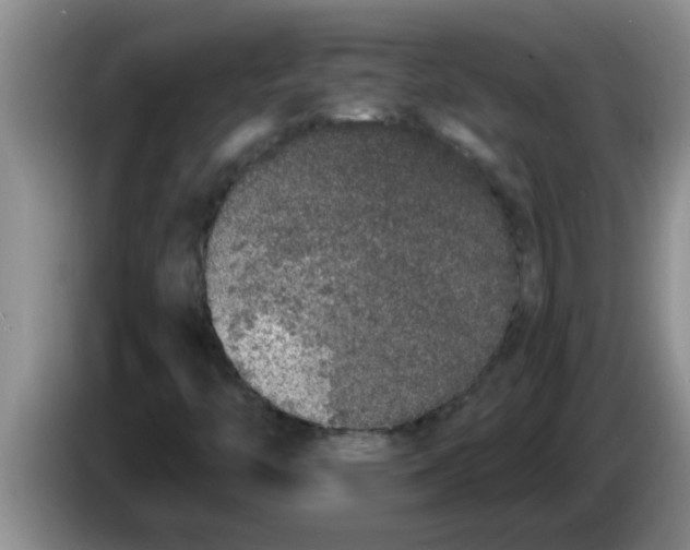 X0000083591446200703091709