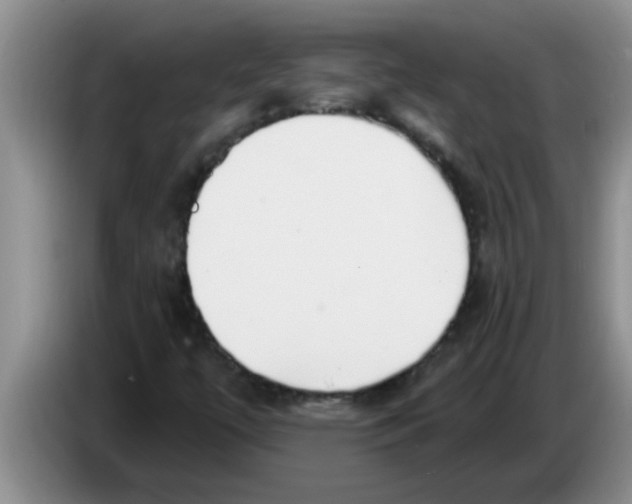 X0000083591447200703091709