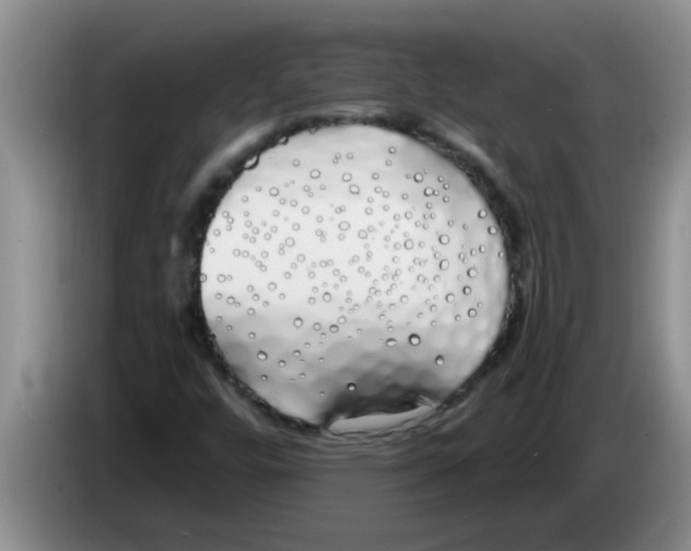 X0000083591448200703091709