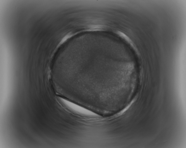 X0000083591449200703091709