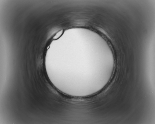 X0000083591450200703091709