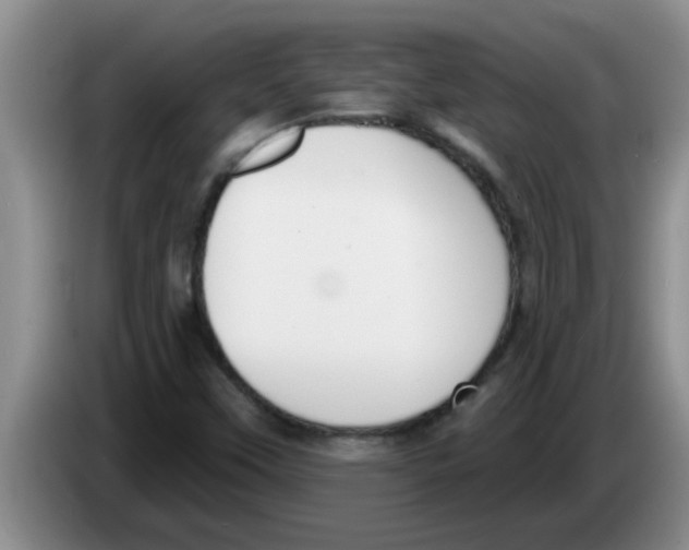 X0000083591451200703091709