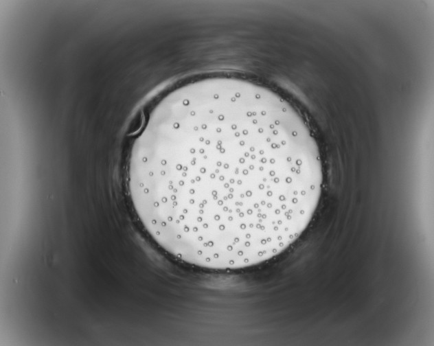 X0000083591452200703091709