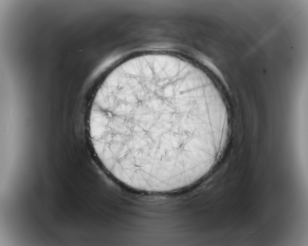 X0000083591456200703091709