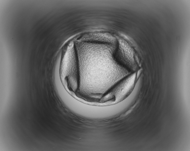 X0000083591457200703091709