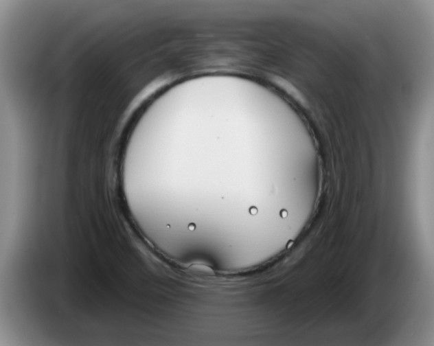 X0000083591458200703091709