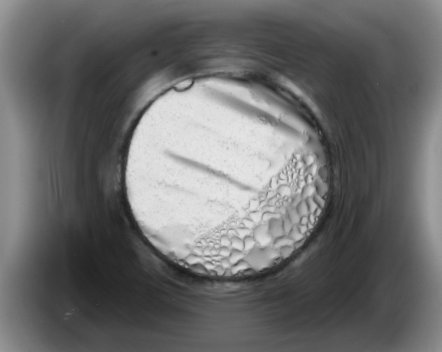 X0000083591459200703091709