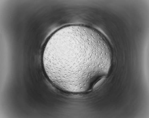 X0000083591460200703091709