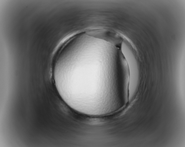 X0000083591461200703091709