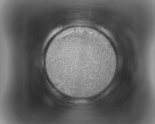 X0000083591462200703091709