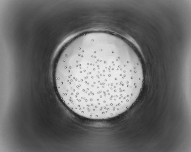 X0000083591464200703091709