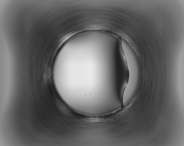 X0000083591465200703091709