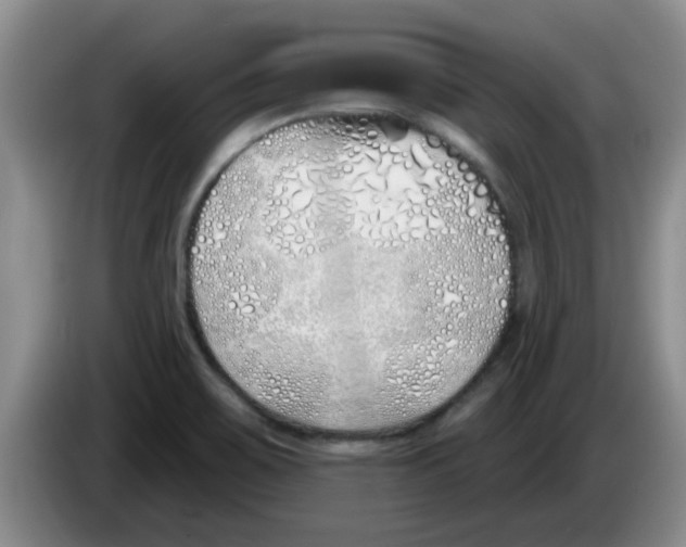 X0000083591467200703091709