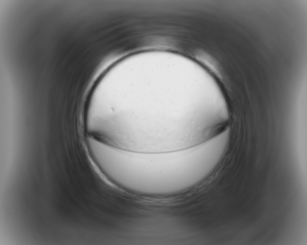 X0000083591468200703091709