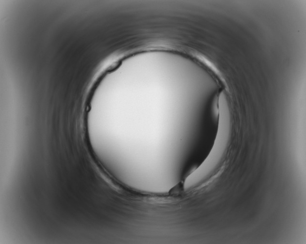 X0000083591469200703091709