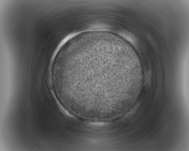 X0000083591470200703091709