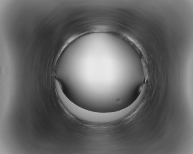 X0000083591473200703091709