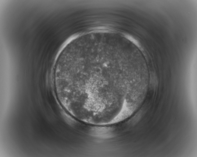 X0000083591474200703091709