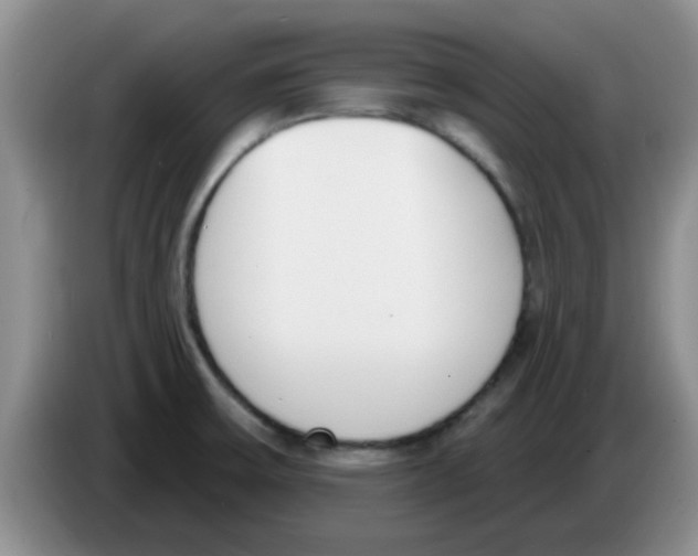 X0000083591475200703091709
