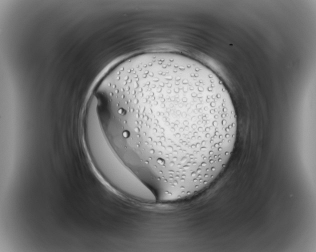 X0000083591476200703091709