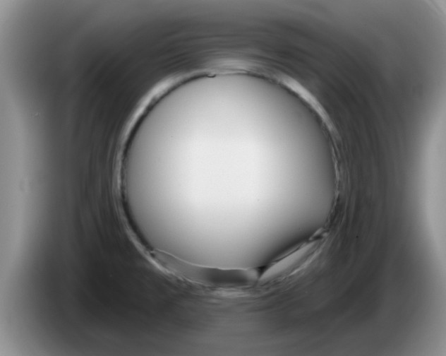 X0000083591477200703091709
