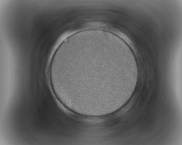 X0000083591478200703091709