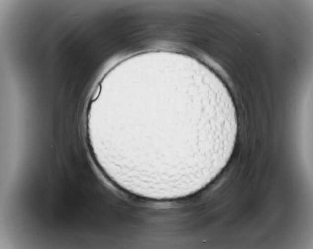 X0000083591479200703091709