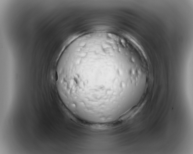X0000083591481200703091709