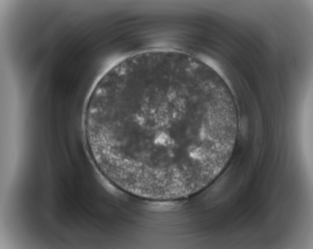 X0000083591482200703091709