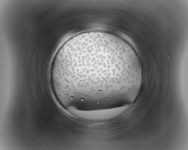 X0000083591483200703091709