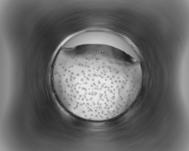 X0000083591484200703091709