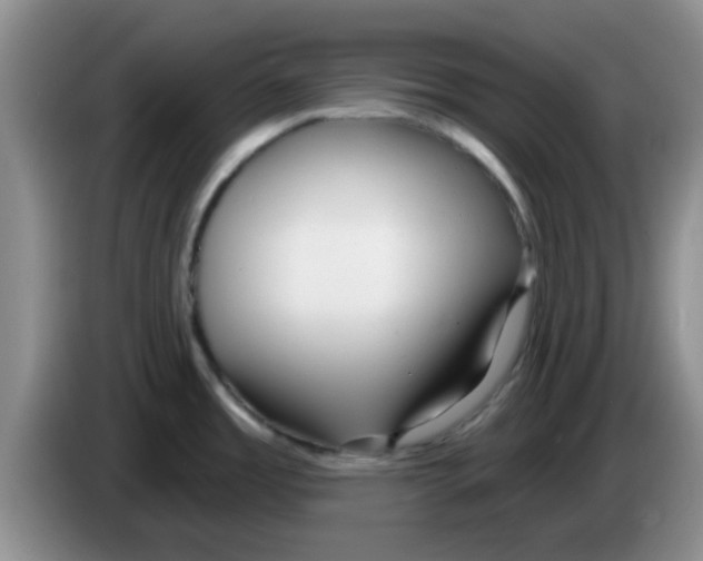 X0000083591485200703091709