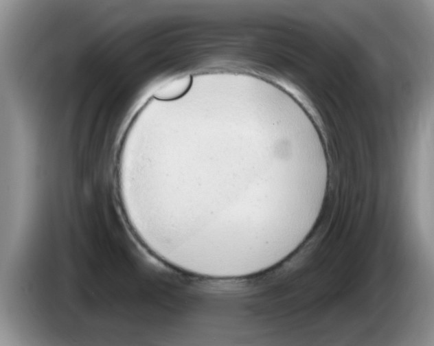 X0000083591486200703091709
